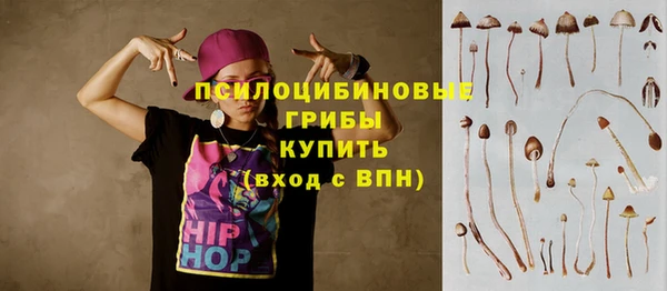 прущие грибы Балабаново