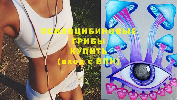 прущие грибы Балабаново