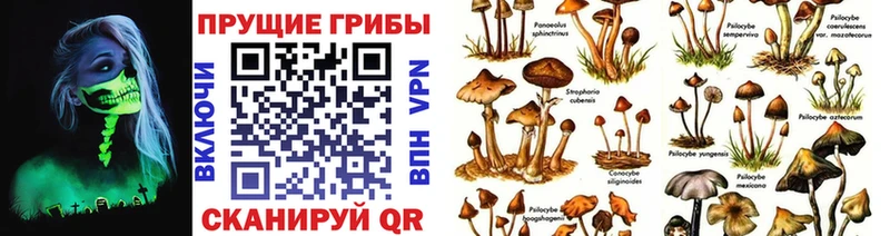 Псилоцибиновые грибы Magic Shrooms  mega   Родники  darknet формула  купить наркотик 