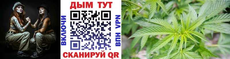Шишки марихуана сатива Родники